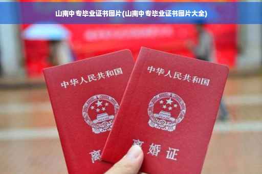 山南中专毕业证书图片(山南中专毕业证书图片大全)