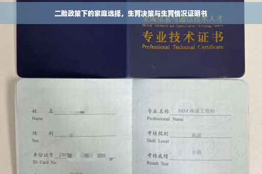 二胎政策下的家庭选择，生育决策与生育情况证明书