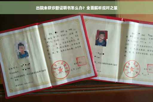 出院未获诊断证明书怎么办？全面解析应对之策