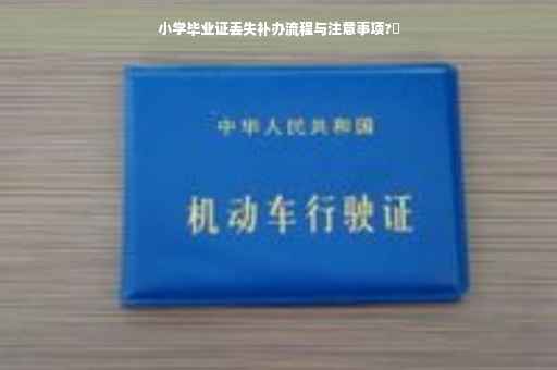 小学毕业证丢失补办流程与注意事项?✨