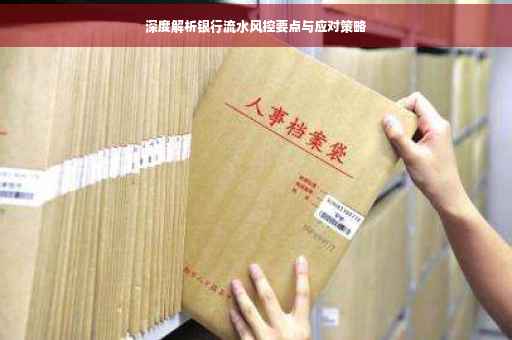 深度解析银行流水风控要点与应对策略