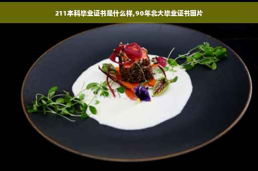 211本科毕业证书是什么样,90年北大毕业证书图片