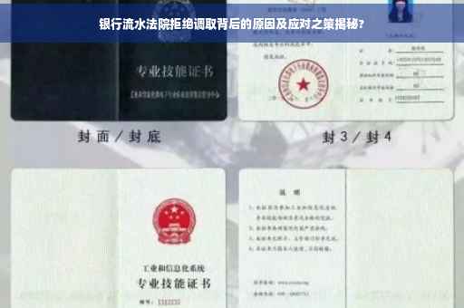 银行流水法院拒绝调取背后的原因及应对之策揭秘?