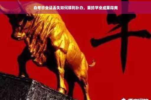 自考毕业证丢失如何顺利补办，重拾学业成果指南