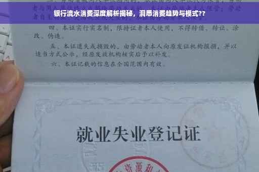 银行流水消费深度解析揭秘，洞悉消费趋势与模式??