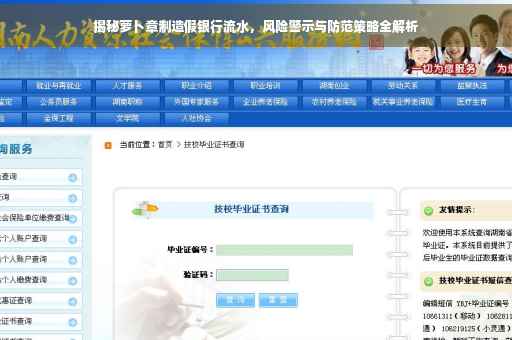 揭秘萝卜章制造假银行流水，风险警示与防范策略全解析