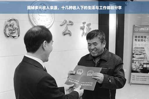 揭秘多元收入来源，十几种收入下的生活与工作体验分享