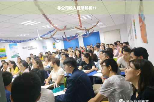 非公司收入证明解析??