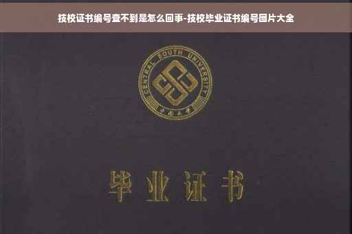 技校证书编号查不到是怎么回事-技校毕业证书编号图片大全