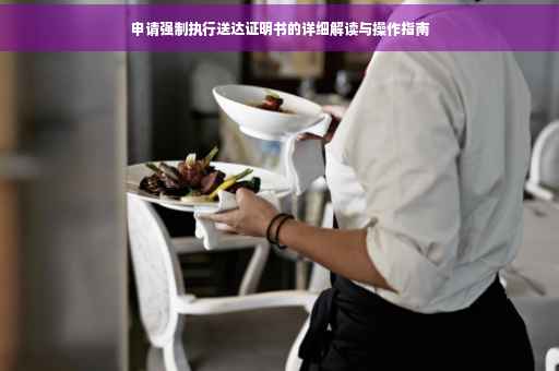 申请强制执行送达证明书的详细解读与操作指南
