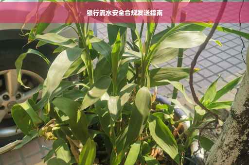 银行流水安全合规发送指南