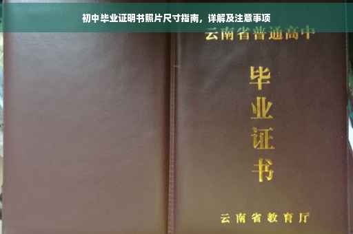 初中毕业证明书照片尺寸指南，详解及注意事项