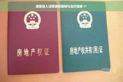 虚假收入证明真相揭秘与应对策略 ??