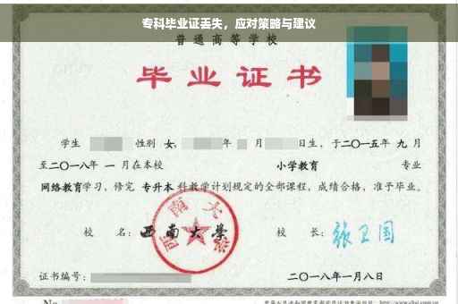 专科毕业证丢失，应对策略与建议