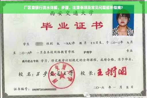 厂区查银行流水详解，步骤、注意事项及常见问题解析指南?