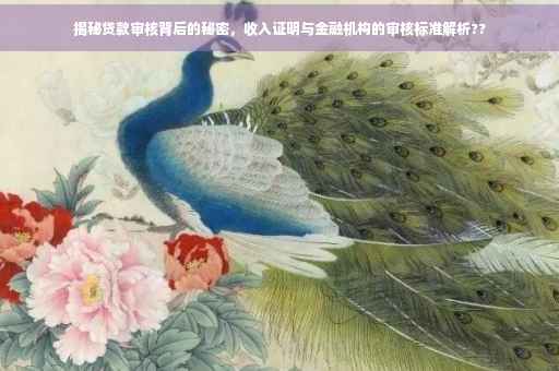 揭秘贷款审核背后的秘密，收入证明与金融机构的审核标准解析??