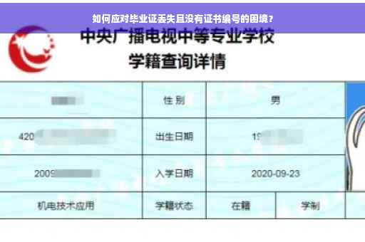 如何应对毕业证丢失且没有证书编号的困境？