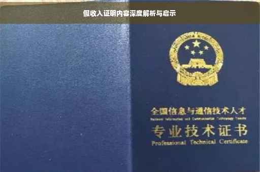 假收入证明内容深度解析与启示