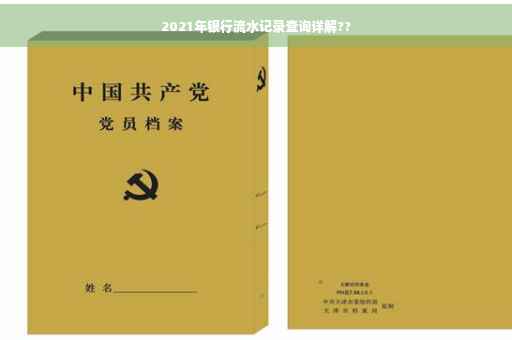 2021年银行流水记录查询详解??
