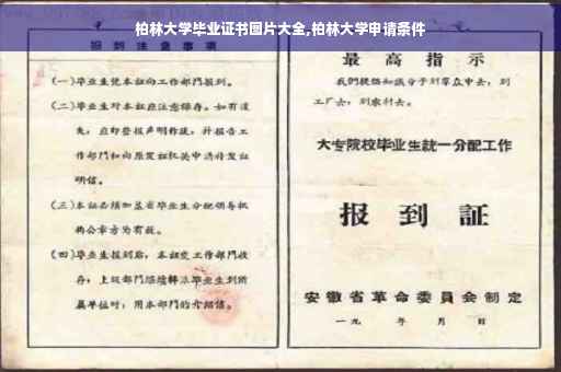 柏林大学毕业证书图片大全,柏林大学申请条件