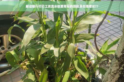 解读银行打印工资流水收费背后的原因及合理建议??