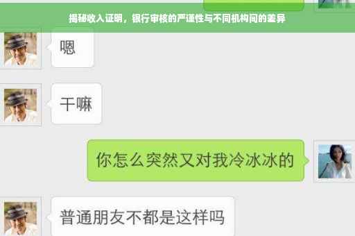 揭秘收入证明，银行审核的严谨性与不同机构间的差异
