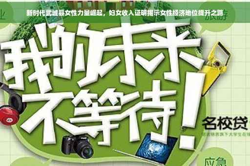 新时代武城县女性力量崛起，妇女收入证明揭示女性经济地位提升之路