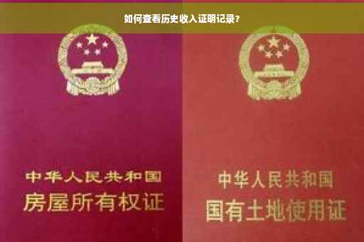 如何查看历史收入证明记录？