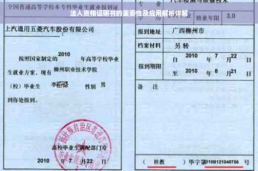 法人资格证明书的重要性及应用解析详解