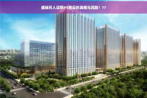 揭秘月入证明PS背后的真相与风险！??