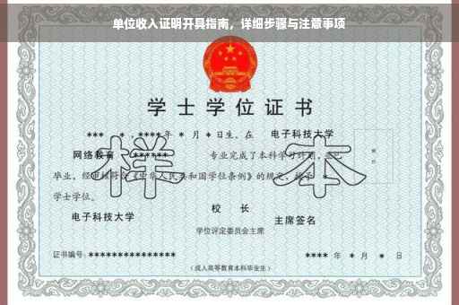 单位收入证明开具指南，详细步骤与注意事项