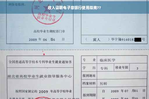 收入证明电子章银行使用指南??