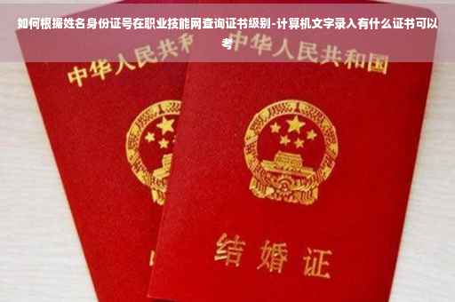 如何根据姓名身份证号在职业技能网查询证书级别-计算机文字录入有什么证书可以考