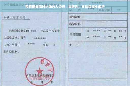 疫情期间临时补助收入证明，重要性、申请指南全解析