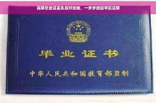 高级毕业证丢失应对攻略，一步步找回学历证明