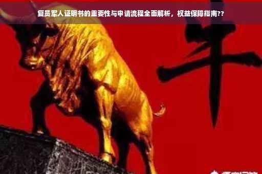 复员军人证明书的重要性与申请流程全面解析，权益保障指南??