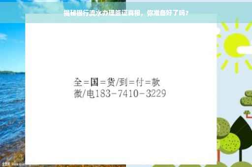 揭秘银行流水办理签证真相，你准备好了吗？