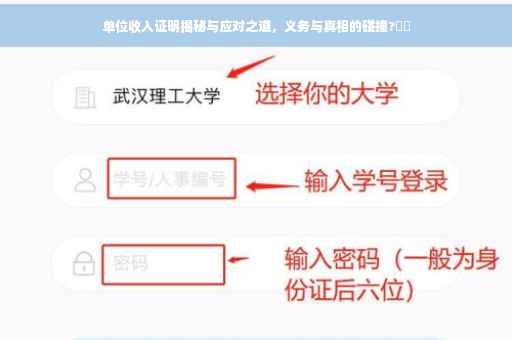 单位收入证明揭秘与应对之道,义务与真相的碰撞?⚡️ 单位收入证明揭秘与应对之道,义务与真相的碰撞?⚡️