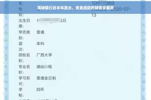 揭秘银行近半年流水，资金流动的秘密全解析