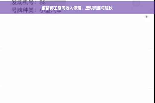 疫情停工期间收入停滞，应对策略与建议
