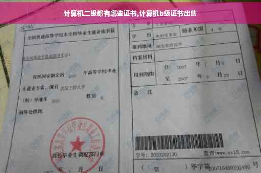 计算机二级都有哪些证书,计算机b级证书出售