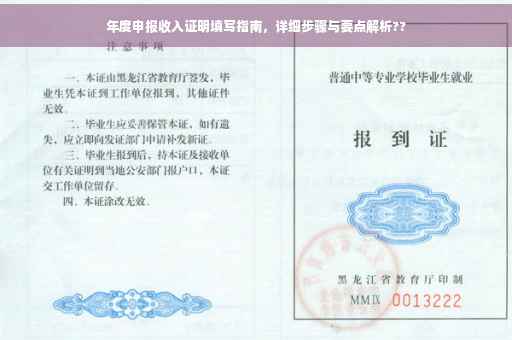 年度申报收入证明填写指南，详细步骤与要点解析??