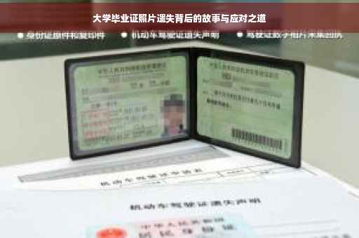 大学毕业证照片遗失背后的故事与应对之道