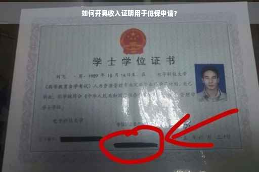 如何开具收入证明用于低保申请？