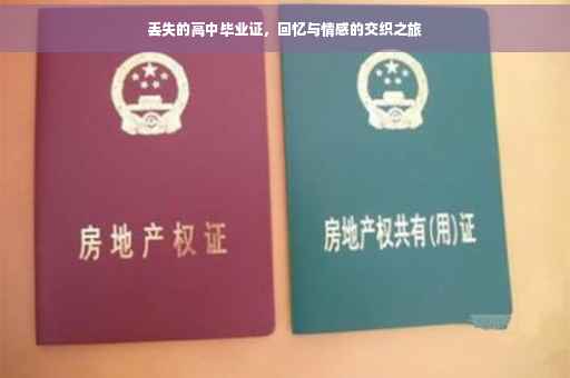 丢失的高中毕业证，回忆与情感的交织之旅
