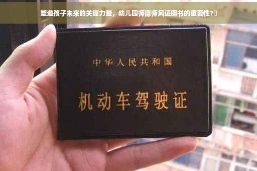 塑造孩子未来的关键力量，幼儿园师德师风证明书的重要性?✨
