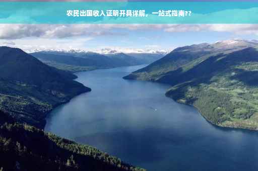 农民出国收入证明开具详解，一站式指南??