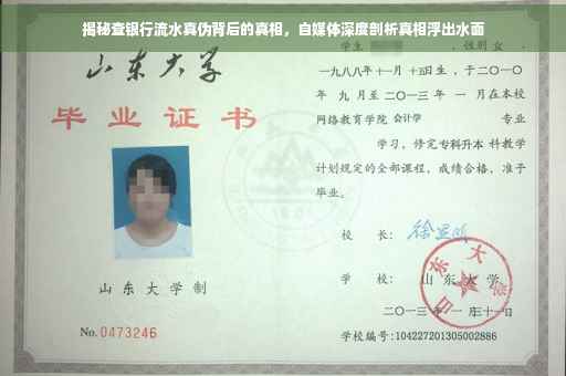揭秘查银行流水真伪背后的真相，自媒体深度剖析真相浮出水面