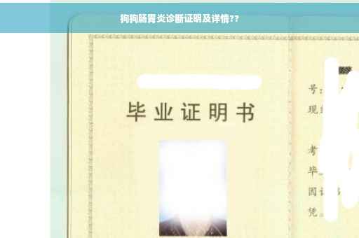狗狗肠胃炎诊断证明及详情??