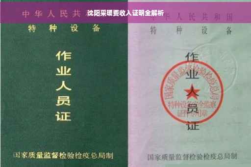 沈阳采暖费收入证明全解析